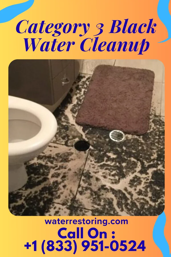 Category 3 Black Water Cleanup in Buchtel, OH