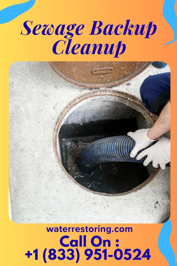 Sewage Backup Cleanup in Buchtel, OH